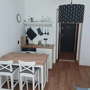 New Modern Studio In 3 Praha